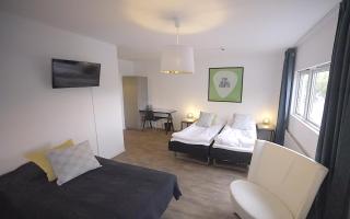 Hotel Tingsryd - Tingsryd - 4