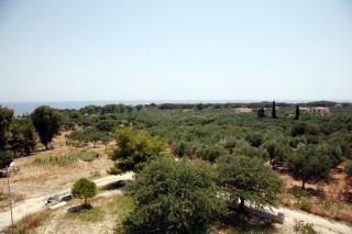 Andriani-Michalis Studios - Vasilikos - 8