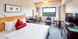 ANA Crowne Plaza Narita by IHG - Narita - 3
