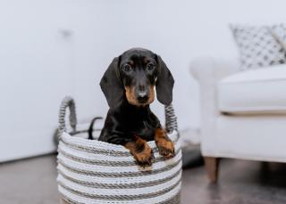 The Parlour - The Cottages at Blackadon Farm - 3