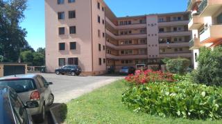 Turgot bleu - Thonon-les-Bains - 1
