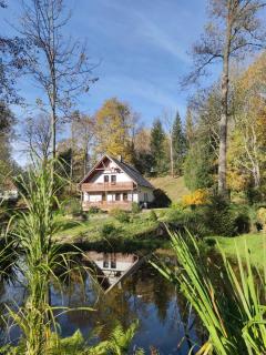 Chalet Horní Orlice - Červená Voda - 1