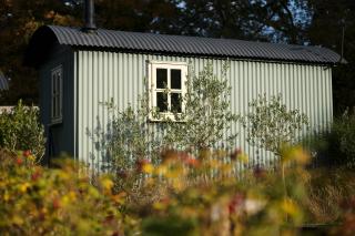 Daisybank Cottage Boutique Bed and Breakfast - Brockenhurst - 1
