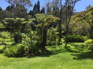 Hale 'Ohu Bed & Breakfast - 6