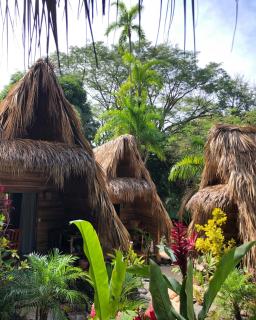 Buena Onda Bungalows - Santa Teresa Beach - 3