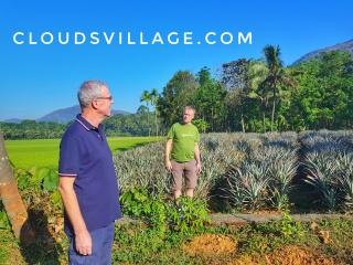 Clouds Village Farm Resort Thodupuzha - 7