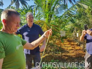 Clouds Village Farm Resort Thodupuzha - 9