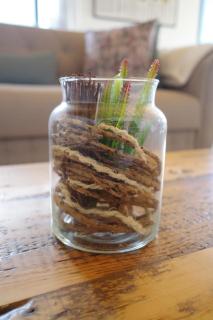 north&south views calheta - 2