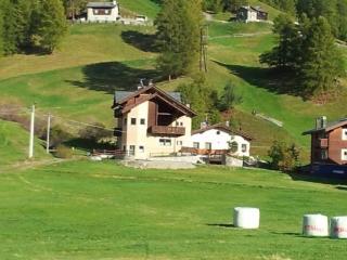 Chalet Rin da Pemont - Livigno - 9