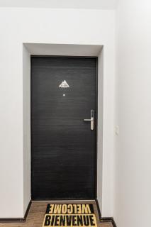 Forest corner in silver mountain of poiana brasov - 2