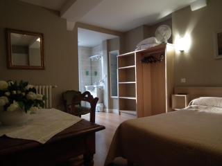 hôtel Piellenia - Tardets-Sorholus - 2