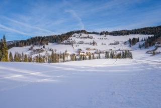 Alpengasthof Moser - Karchau - 4
