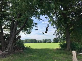Camping Lagewald Vakantiehuis - Groesbeek - 2
