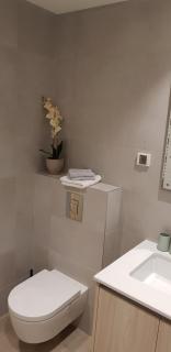 KAMIN BEOGRAD NA VODI apartman - Belgrado - 7
