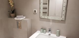 KAMIN BEOGRAD NA VODI apartman - 9