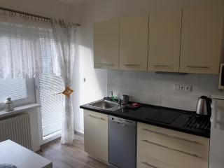 Apartment Petra - Lipová-lázně - 5