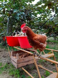 Agriturismo Fior Di Campo - 4