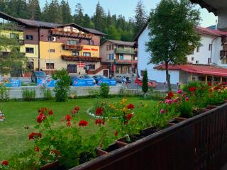 Francesco's Mountain Apartment - Predeal - 3