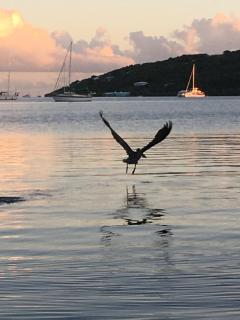 Naniqui Cottage - Only Adults -Parking Golf Car Only - Culebra - 1