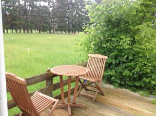 Aratahi Cottages - 5