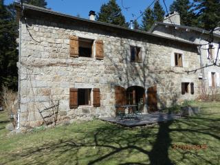 GITE LES MYOSOTIS - Le Chambon-sur-Lignon - 9