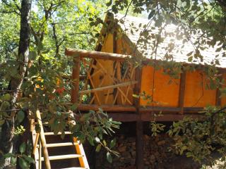 Domaine de la Borie YourHostHelper - Trans-en-Provence - 5