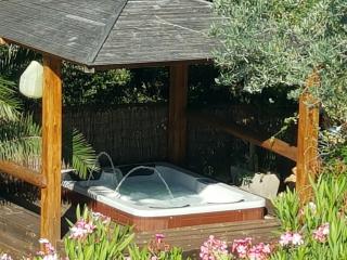 Domaine de la Borie YourHostHelper - Trans-en-Provence - 6