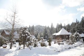 Smerekovyi Dvir - Zhdenievo - 6