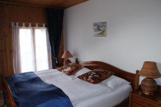 Historic Hotel Steinbock - Wilderswil - 7