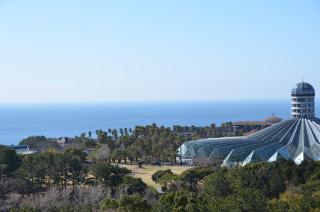 Aria Hotel - Seogwipo - 4