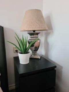 Evy's place - Zandvoort - 8