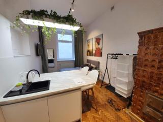 Takie studio, że żal nie wynająć - 8