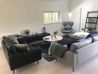 Red Stag with stunning loch and waterfall view - 4