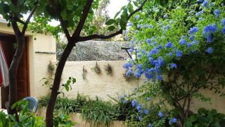 Studio 32 m² à Banyuls-sur-Mer avec terrasse agréable le jardin. - Banyuls-sur-Mer - 3