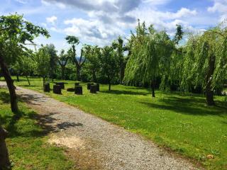 Welcoming villa near Penafiel with pool - Abol de Cima - 3