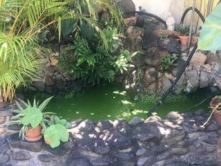 Studio charmant à Basse Terre, vue sur jardin, 15 m² - Basse-Terre - 2