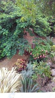 Welcoming House in Las Galeras with Stunning Sea View - Las Galeras - 3