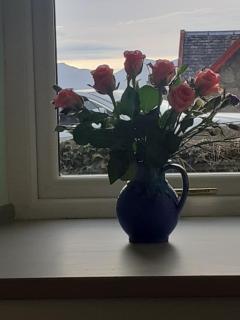 The Coorie Inviting 1-Bed Apartment in Oban - Oban - 1
