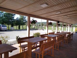 Hévíz Springs - Kehidakustány - Kehidakustány - 5