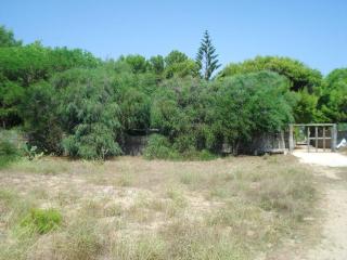 Spacious apartment in Granelli 110 m² + sea view - Granelli - 2