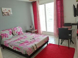 Studio vue mer à Saint Denis, 28 m², climatisé - Saint-Denis - 3