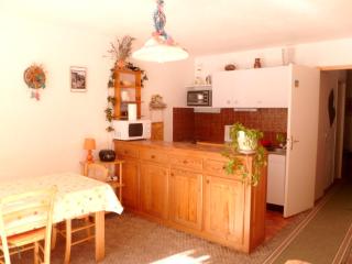 Charmant appartement à Enchastrayes 38 m² avec vue montagne - Enchastrayes - 8