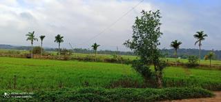 Wayal Wayanad Farm Resort - Panamaram - 1