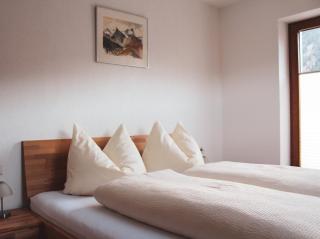 Appartement Pitztal-Hochzeiger inclusive Pitztal-Sommer Card - Jerzens - 1