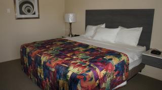 Apple Valley Hotel & Lodge - Apple Valley - 6