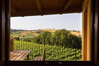 Agriturismo Vecchio Gelso - Ortezzano - 3
