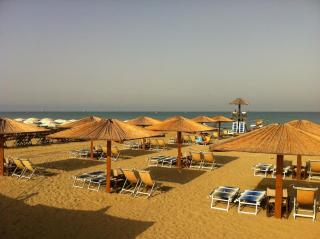 Camping Pineta - 7