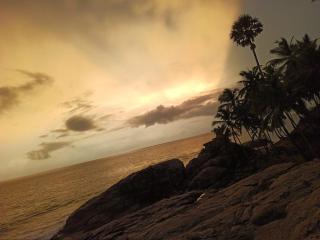 Vaiga Home Stay - Kovalam - 4