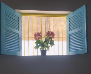SerTãoNejos - Teresina - 3