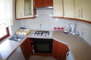 Holiday apartment Ana with private pool - Šišan - 1